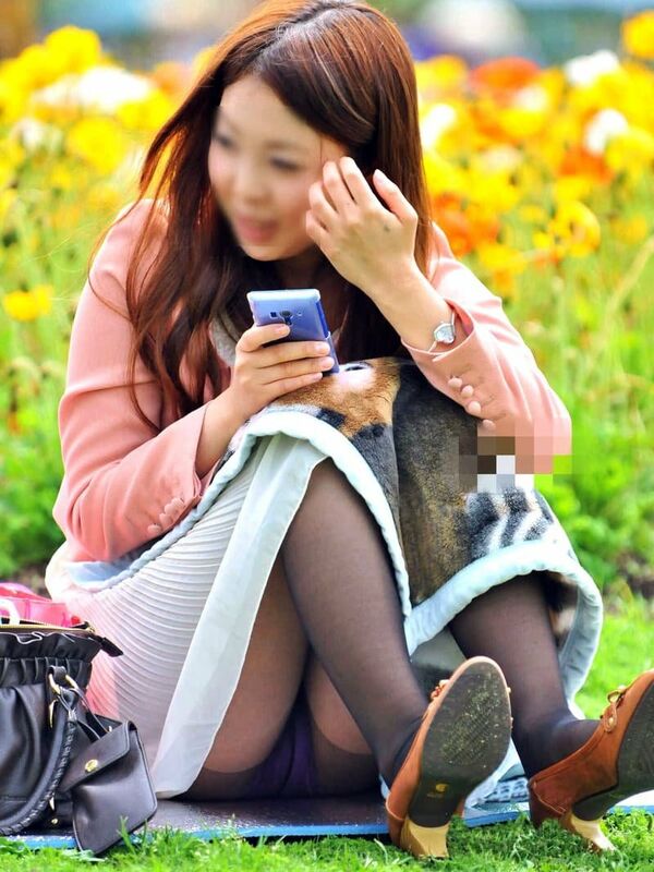 パンチラエロ画像