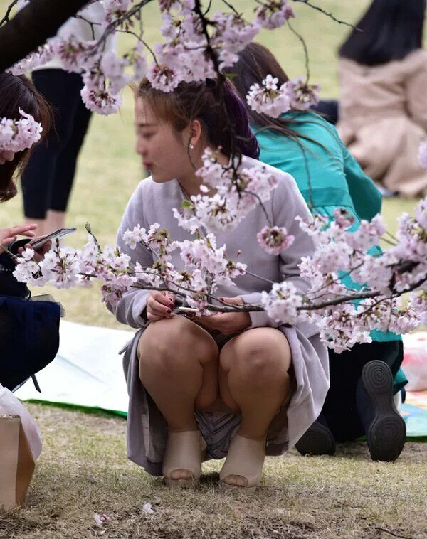 パンチラエロ画像