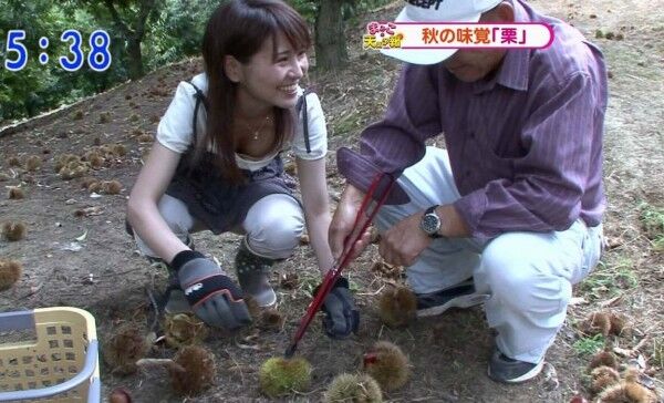 テレビ胸チラエロ画像