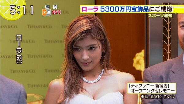 テレビ胸チラエロ画像
