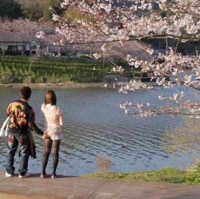 【花見パンチラ】蕾と一緒に開く女性のお股のサムネイル画像