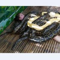 子供の日は動物園で人妻狙いやねｗｗｗ