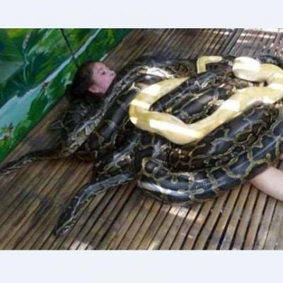 子供の日は動物園で人妻狙いやねｗｗｗのサムネイル画像