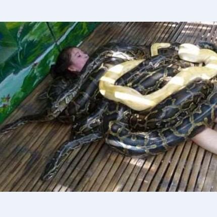 子供の日は動物園で人妻狙いやねｗｗｗのサムネイル