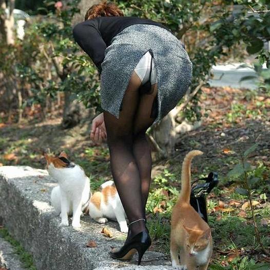 黒のパンストには絶対白パンティでしょｗのサムネイル