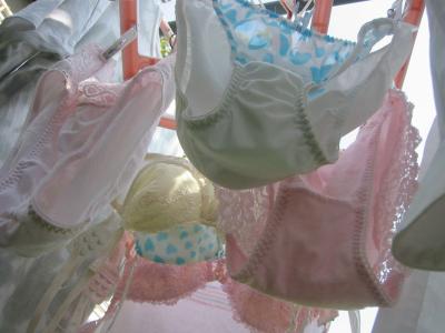 需要はあるのか？ベランダに干してある洗いたてのランジェリーのサムネイル画像