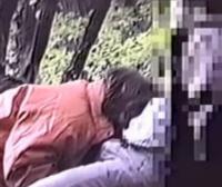 有名な青姦スポットに盗撮カメラを仕込んだだ結果…