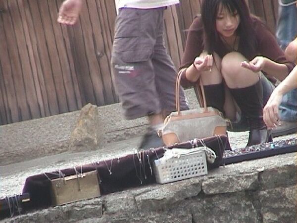 JKしゃがみパンチラ 46枚目